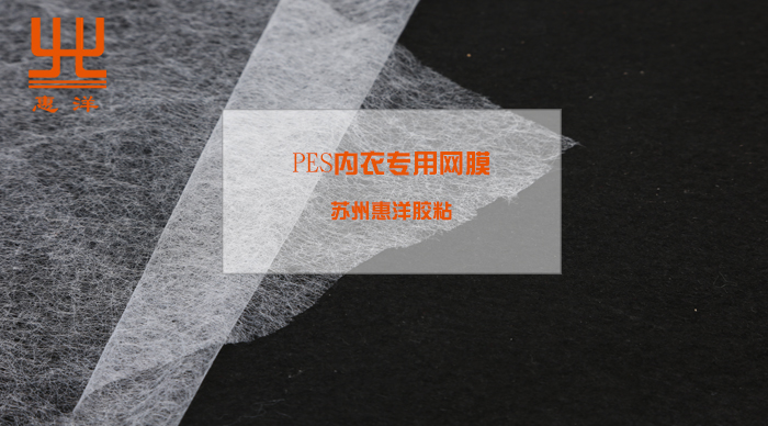 PES內(nèi)衣專(zhuān)用網(wǎng)膜.jpg